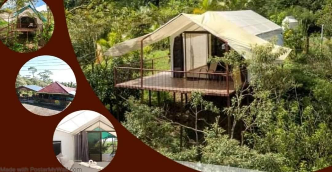 Garza Del Sol Glamping Rio Celeste Buganvilia Eksteriør bilde